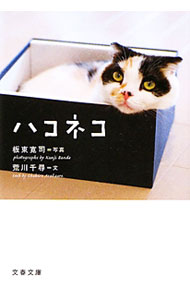【中古】ハコネコ / 荒川千尋