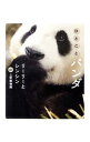 【中古】ひとことパンダ / 上野動物園