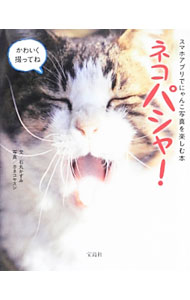 【中古】ネコパシャ！ / 石丸かずみ