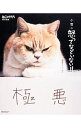 【中古】小雪の怒ってなどいない!! / 岡田モフリシャス