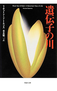 【中古】遺伝子の川 / DawkinsRichard