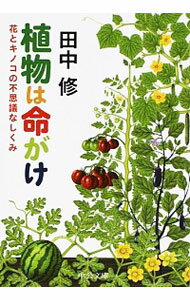 【中古】植物は命がけ / 田中修