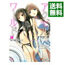 【中古】アクセル・ワールド −星の揺りかご− 17/ 川原礫