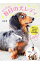 【中古】がんばれ！盲目の犬レディ / 山本博（1962−）