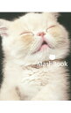 【中古】MashBook / 岡野瑞恵