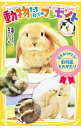 【中古】動物たちからのプレゼント 命をありがとう!動物園ものがたり(集英社みらい文庫動物セット) / 高橋うらら