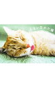 【中古】しまい忘れた猫 / KADOKAWA