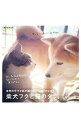 【中古】柴犬フクと猫のタラ。 / 松田智恵(ブログ執筆)