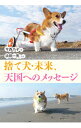 【中古】【全品10倍!5/10限定】捨て犬・未来、天国へのメッセージ / 今西乃子
