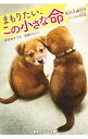 【中古】まもりたい、この小さな命(集英社みらい文庫動物セット) / 高橋うらら