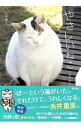 【中古】やさしいねこ / 太田康介