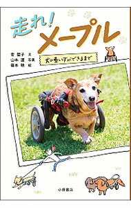 【中古】走れ！メープル / 菅聖子