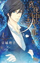 【中古】真夜中の執事たち-メイちゃんの執事 side B- 1/ 宮城理子