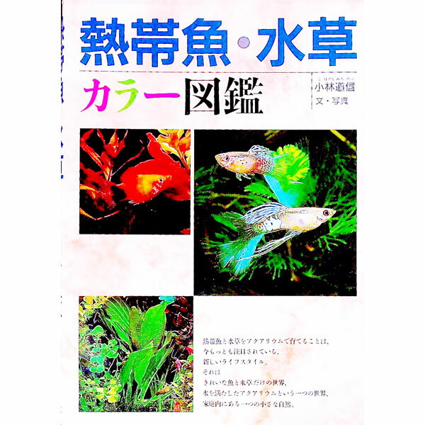 &nbsp;&nbsp;&nbsp; 熱帯魚・水草 単行本 の詳細 出版社: 西東社 レーベル: 作者: 小林道信 カナ: ネッタイギョミズクサ / コバヤシミチノブ サイズ: 単行本 ISBN: 479160668X 発売日: 1993/07/01 関連商品リンク : 小林道信 西東社