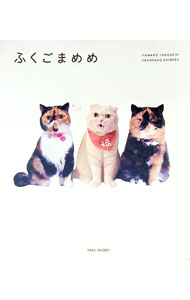 【中古】ふくごまめめ / 竹内華子