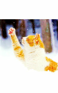 【中古】そっとネコぼけ / 岩合光昭