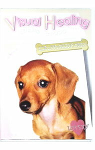 【中古】Visual　Healing　ミニチュアダックスフンド（ブラウン） / その他