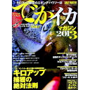 【中古】でかイカマガジン Vol．3（2013）/