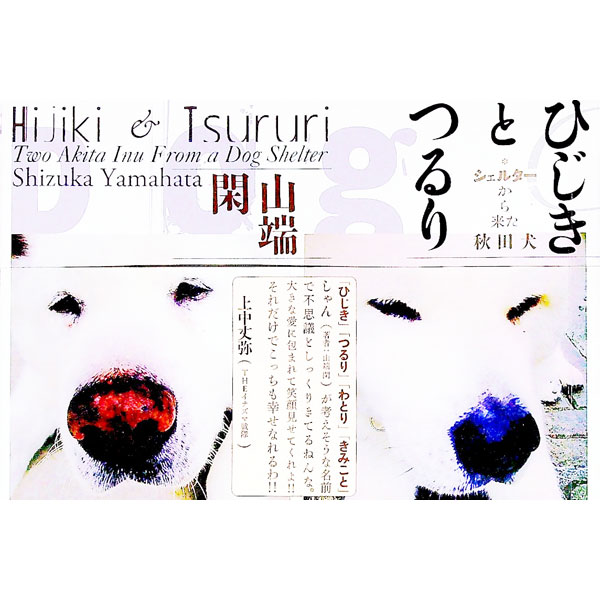 &nbsp;&nbsp;&nbsp; ひじきとつるり 単行本 の詳細 出版社: 青土社 レーベル: 作者: 山端閑 カナ: ヒジキトツルリ / ヤマハタシズカ サイズ: 単行本 ISBN: 4791769155 発売日: 2016/08/01 関連商品リンク : 山端閑 青土社