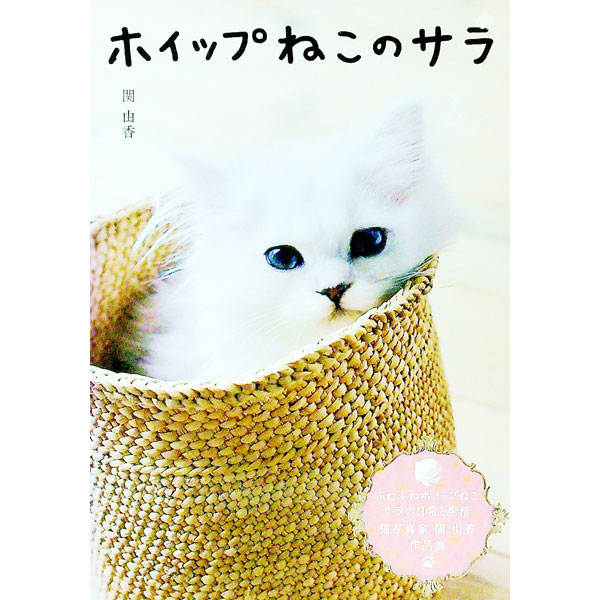 【中古】ホイップねこのサラ / 関由香