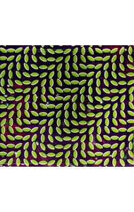 &nbsp;&nbsp;&nbsp; メリウェザー・ポスト・パヴィリオン の詳細 発売元: その他発売会社 アーティスト名: Animal　Collective カナ: メリウェザーポストパヴィリオン MERRIWEATHER POST PAVILION / アニマルコレクティヴ ANIMAL COLLECTIVE ディスク枚数: 1枚 品番: WIGCD216J 発売日: 2009/02/25 曲名Disc-11.　In　the　Flowers2.　My　Girls3.　Also　Frightened4.　Summertime　Clothes5.　Daily　Routine6.　Bluish7.　Guys　Eyes8.　Taste9.　Lion　in　a　Coma10.　No　More　Runnin11.　Brother　Sport12.　Summertime　Clothes（日本盤ボーナストラック） 関連商品リンク : Animal　Collective その他発売会社