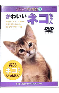 【中古】どうぶつだいすき！3　かわいいネコちゃん / その他