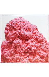 &nbsp;&nbsp;&nbsp; Glass　Drop　初回限定盤 の詳細 発売元: WARP アーティスト名: バトルス カナ: グラスドロップショカイゲンテイバン GLASS DROP / バトルス BATTLES ディスク枚数: 1枚 品番: BRC288LTD 発売日: 2011/04/27 曲名Disc-11.　AFRICASTLE2.　ICE　CREAM3.　FUTURA4.　INCHWORM5.　WALL　STREET6.　MY　MACHINES7.　DOMINICAN　FADE8.　SWEETIE＆SHAG9.　TODDLER10.　ROLLS　BAYCE11.　WHITE　ELECTRIC12.　SUNDOME13.　SUNDOME（INSTRUMENTAL｜ボーナス・トラック） 関連商品リンク : バトルス WARP