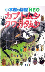 【中古】カブトムシ・クワガタムシ / 小池啓一 (単行本)
