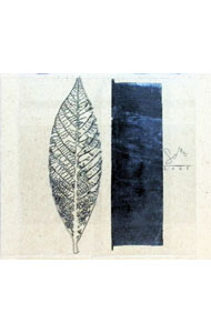 【中古】Leaf / Sono