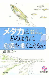 &nbsp;&nbsp;&nbsp; "【DVD付】メダカはどのように危機を乗りこえるか " の詳細 出版社: 農山漁村文化協会 レーベル: 作者: 端憲二 カナ: メダカワドノヨウニキキオノリコエルカ / ハタケンジ サイズ: 単行本 関連商品リンク : 端憲二 農山漁村文化協会