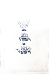 【中古】【Blu−ray】ファーストキス　1ST　KISS　豪華版 / 塚原あゆ子【監督】