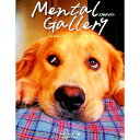 【中古】Mental　Gallery（メンタルギャラリー）−心理テスト・写真集・カードを楽しむ！− / 仲都アサ子