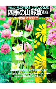 【中古】四季の山野草 '93/ (単行本)