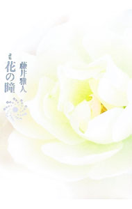 樂天商城 - 【中古】花の瞳 / 藤井雅人 (単行本)