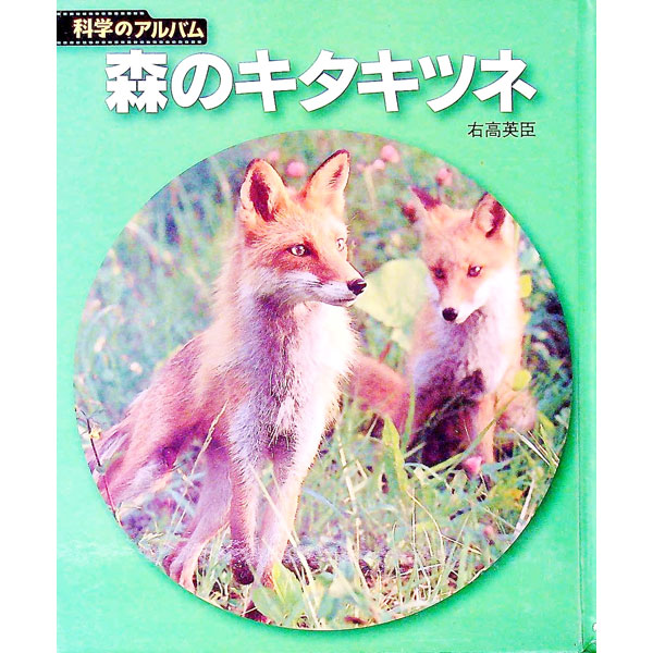 &nbsp;&nbsp;&nbsp; 森のキタキツネ 単行本 の詳細 出版社: あかね書房 レーベル: 作者: 右高英臣 カナ: モリノキタキツネ / ミギタカヒデオミ サイズ: 単行本 ISBN: 4251033779 発売日: 2005/04/01 関連商品リンク : 右高英臣 あかね書房