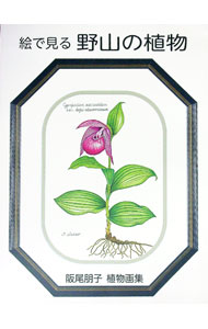 Botany - 【中古】絵で見る野山の植物 / 阪尾朋子 (単行本)