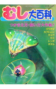 【中古】むし大百科 / 実業之日本社 (単行本)