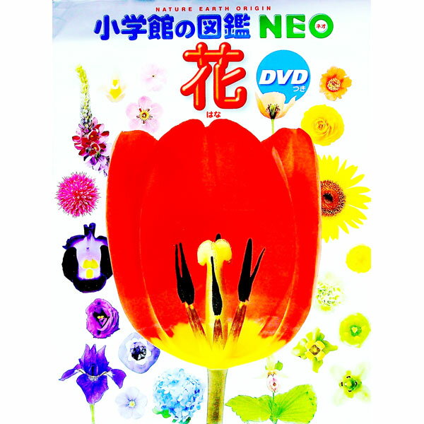 &nbsp;&nbsp;&nbsp; 花 単行本 の詳細 付属品: DVD付 出版社: 小学館 レーベル: 小学館の図鑑NEO 作者: 多田多恵子 カナ: ハナ / タダタエコ サイズ: 単行本 ISBN: 4092172197 発売日: 2014/06/01 関連商品リンク : 多田多恵子 小学館 小学館の図鑑NEO