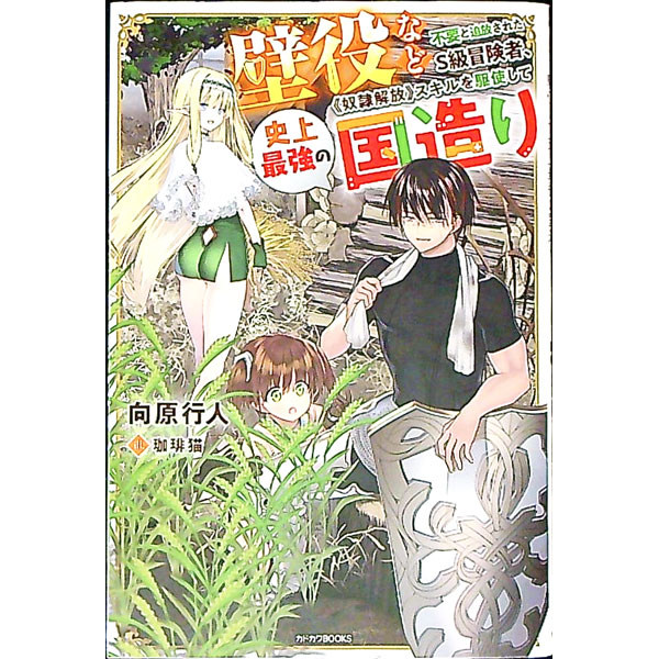 【中古】壁役など不要と追放されたS級冒険者、《奴隷解放》スキルを駆使して史上最強の国造り / 向原行人