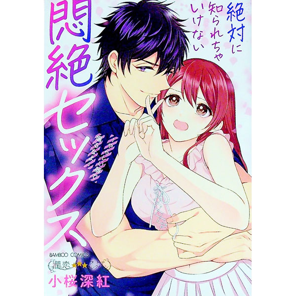 【中古】絶対に知られちゃいけない悶絶セックス−やらしい顔で煽るなよ− / 小桜深紅