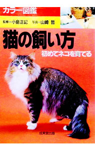 &nbsp;&nbsp;&nbsp; 猫の飼い方 単行本 の詳細 出版社: 成美堂出版 レーベル: 作者: 小島正記 カナ: ネコノカイカタ / コジママサノリ サイズ: 単行本 ISBN: 4415078176 発売日: 1992/09/20 関連商品リンク : 小島正記 成美堂出版