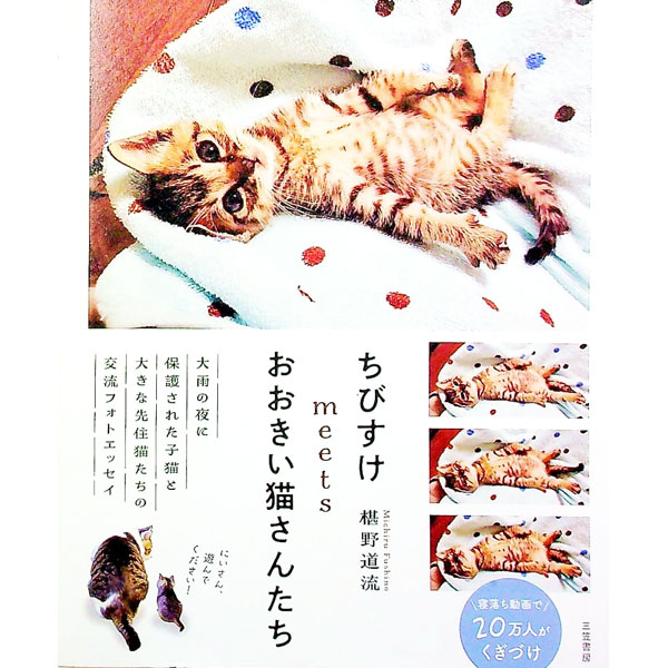 【中古】ちびすけmeetsおおきい猫さんたち / 椹野道流
