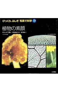 【中古】植物の素顔 / 伊知地国夫