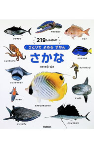 &nbsp;&nbsp;&nbsp; さかな　対象年齢3−6歳 単行本 の詳細 出版社: Gakken レーベル: 作者: Gakken カナ: サカナタイショウネンレイ36サイ / ガッケン サイズ: 単行本 ISBN: 4052058325 発売日: 2024/05/01 関連商品リンク : Gakken Gakken