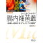 【中古】もっとよくわかる！腸内細菌叢 / 福田真嗣