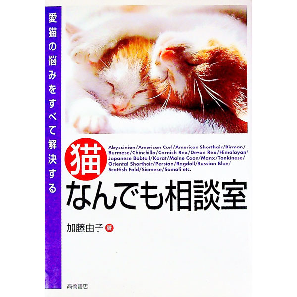 【中古】猫なんでも相談室 / 加藤由子