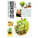 【中古】観葉植物 / 尾崎章