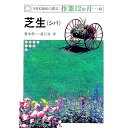 【中古】芝生(シバ) / 真行寺孝