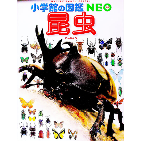 【中古】昆虫 / 小池啓一