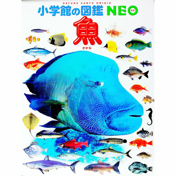 【中古】魚 / 藍沢正宏